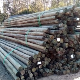 VARAS 6 PULGADAS A 7 PULGADAS DE 3,5 METROS DE LARGO