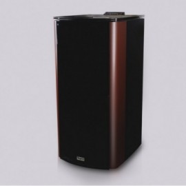 ESTUFA A PELLETS 10 KW (TEPOR) BURDEO